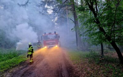 Waldbrandübung in Westercelle