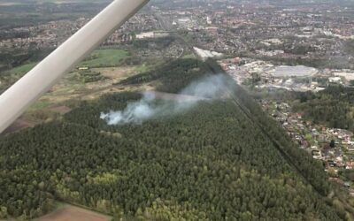 Waldbrand
